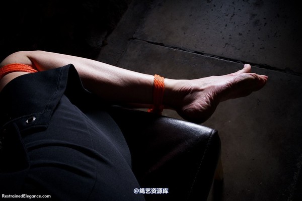 restrainedelegance - You WILL tell us, Miss Price 第 43 张图片