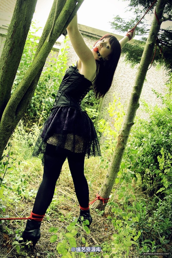 limitedaudience - 2013 syrah lee helpless outdoors 2 第 3 张图片