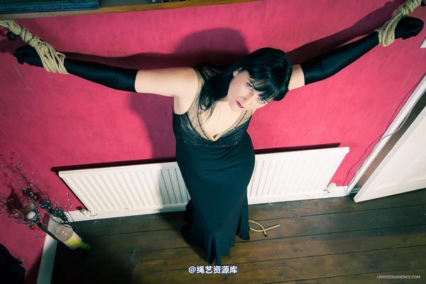 limitedaudience - 2013 dynamo incredulous captive 第 45 张图片