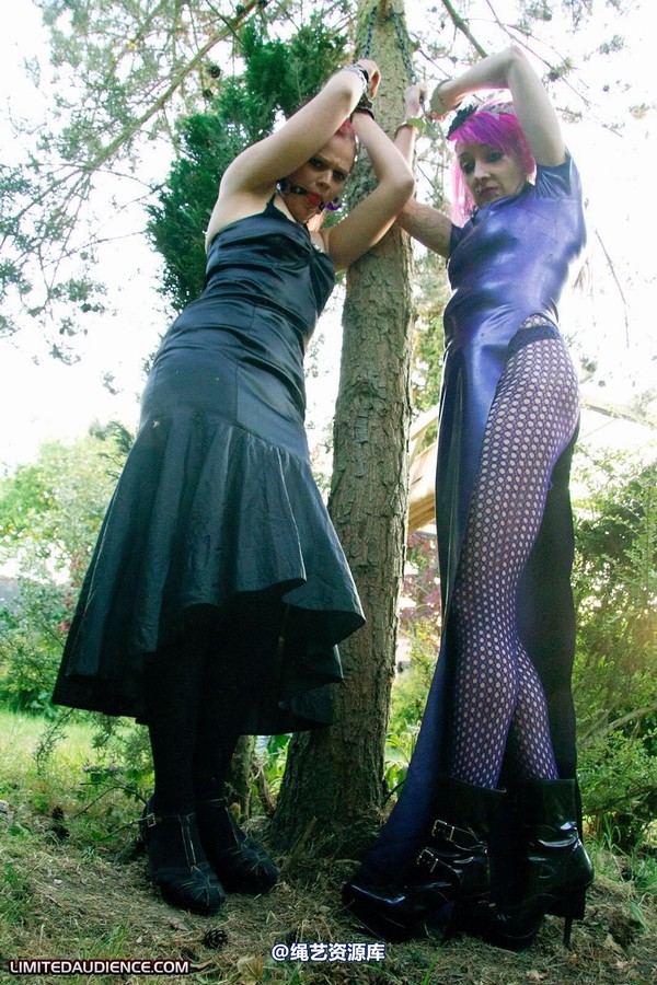 limitedaudience - 2011 beckykat loltaru chained tree seesaw 2 第 3 张图片