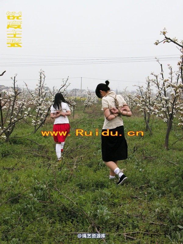 锐度主张 - 婷婷和寒冰梨花林中 第 3 张图片