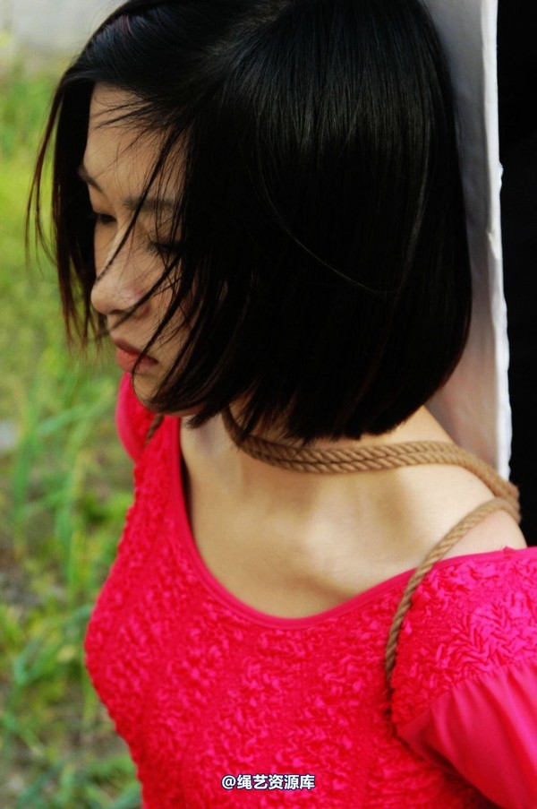 mj影视 - 梅晓枫―执行枪决2013-05-09 第 18 张图片