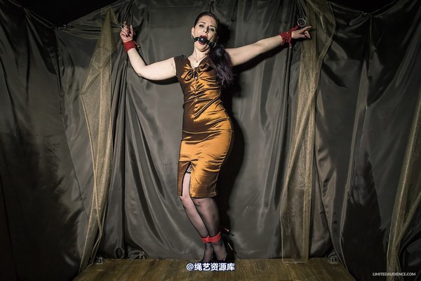 limitedaudience - 2014 caroline pierce bondage in bronze 第 30 张图片