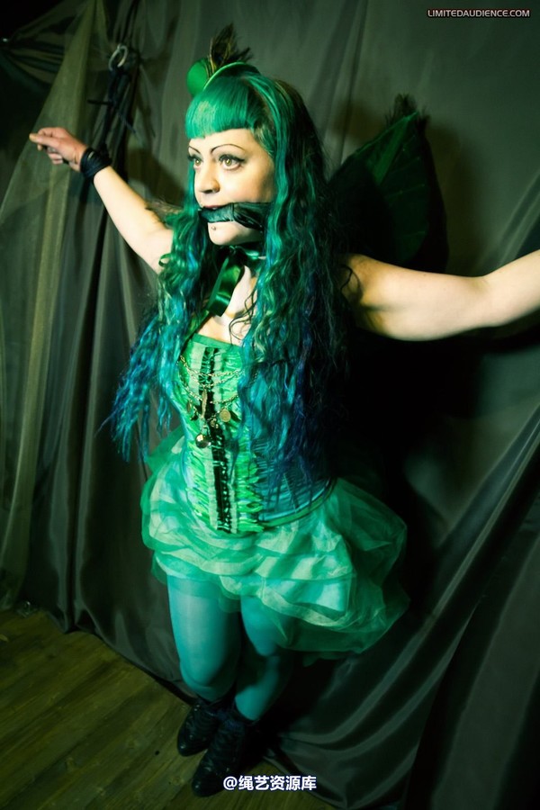 limitedaudience - 2012 raevan green fairy captured 2 第 21 张图片