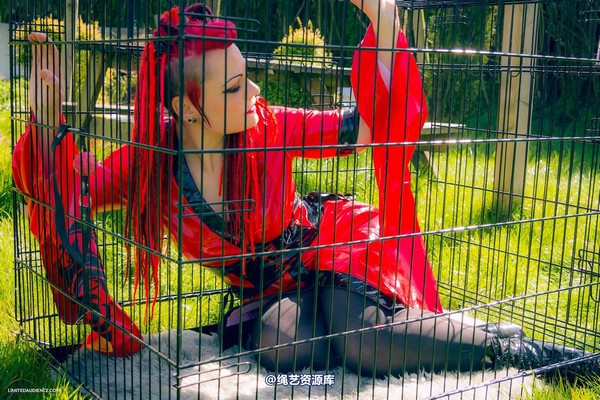 limitedaudience - 2015 raevan into the cage 第 19 张图片