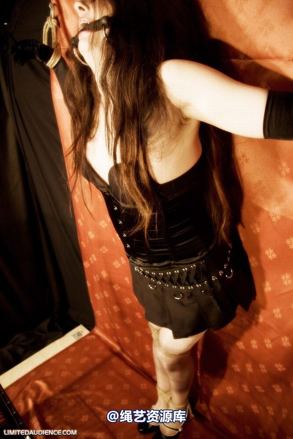 limitedaudience - 2009 catya raevan alptraum part iii 第 8 张图片