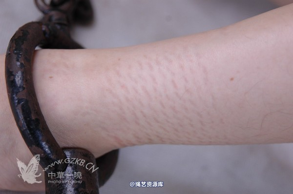 中华一晓 - 中华一晓 NO.0118 第 52 张图片