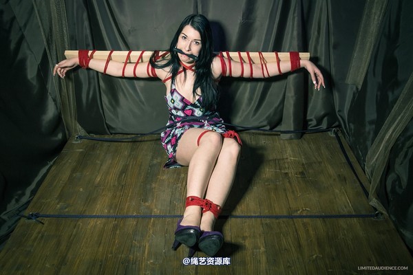 limitedaudience - 2013 stacey von time challenge 2 第 23 张图片