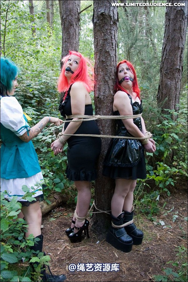 limitedaudience - 2007 asphyxia b nattsuko lost in the woods 第 43 张图片
