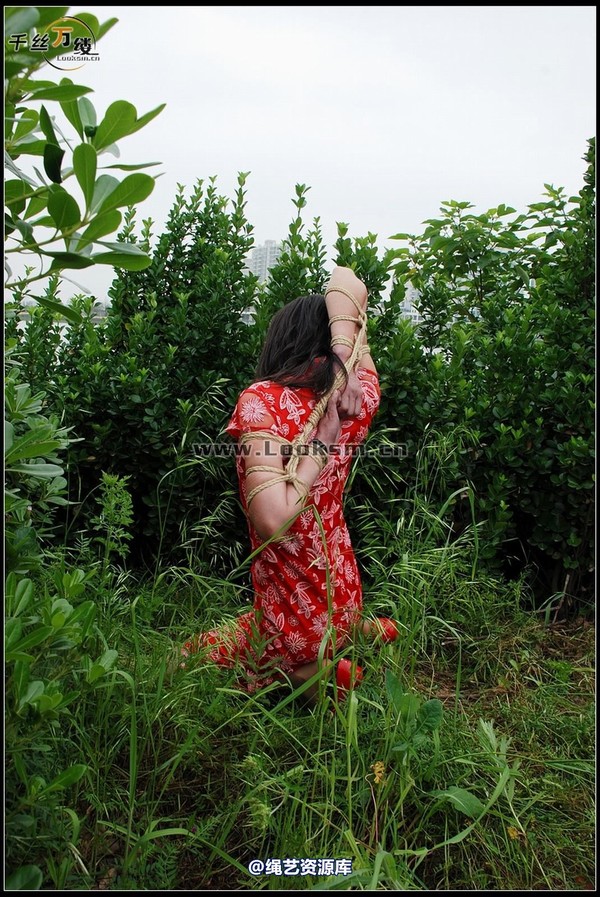 千丝万缕 - 2008-05-07日照片 第 158 张图片