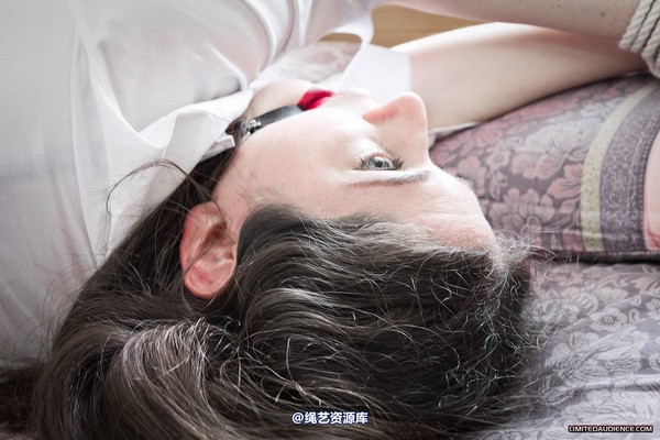 limitedaudience - 2012 catya bound secretary 第 29 张图片