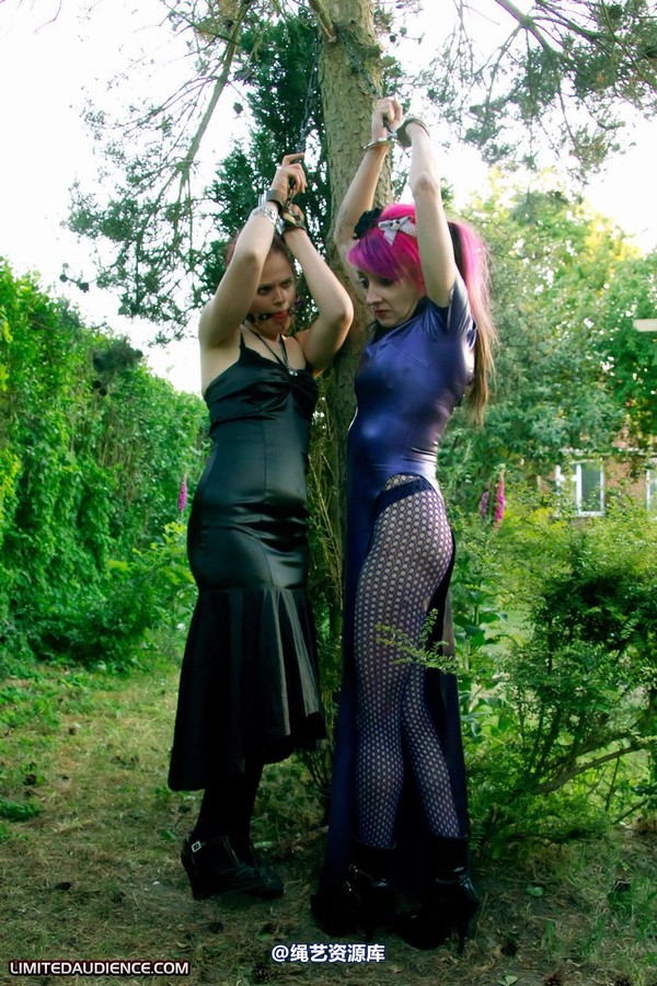 limitedaudience - 2011 beckykat loltaru chained tree seesaw 2 第 8 张图片