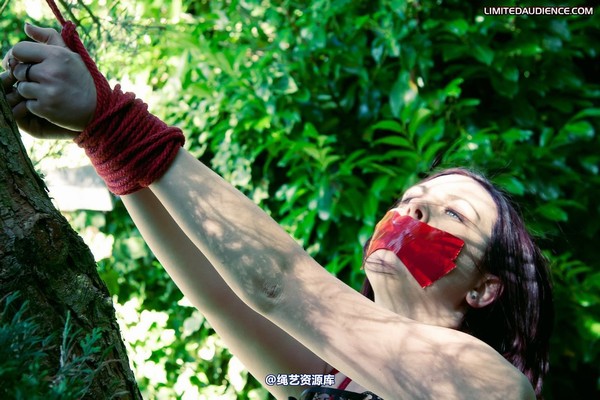 limitedaudience - 2011 carmina and the tree 2 第 27 张图片