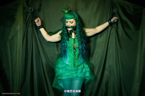 limitedaudience - 2012 raevan green fairy captured 第 23 张图片
