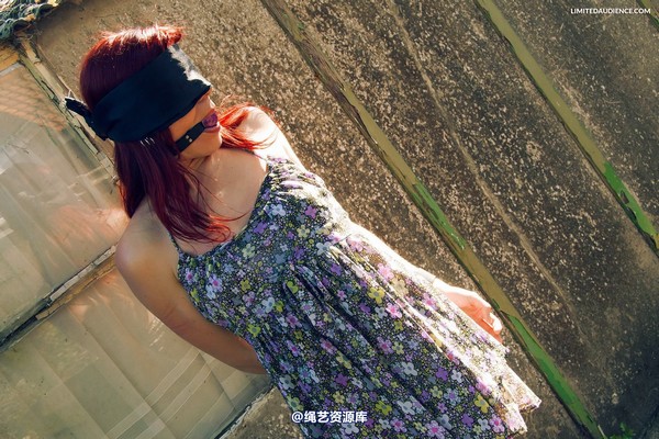 limitedaudience - 2013 scarlett blindfolded walk 第 11 张图片