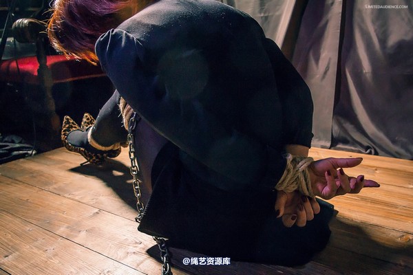limitedaudience - 2014 ammalia tied and chained 第 3 张图片