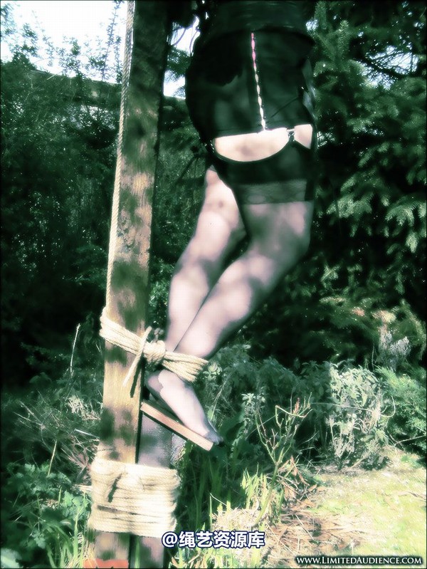 limitedaudience - 2007 assisted suicide up on the cross 第 30 张图片