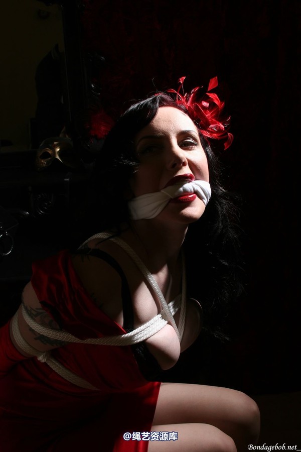 bondagebob - Morrigan Noir 第 126 张图片