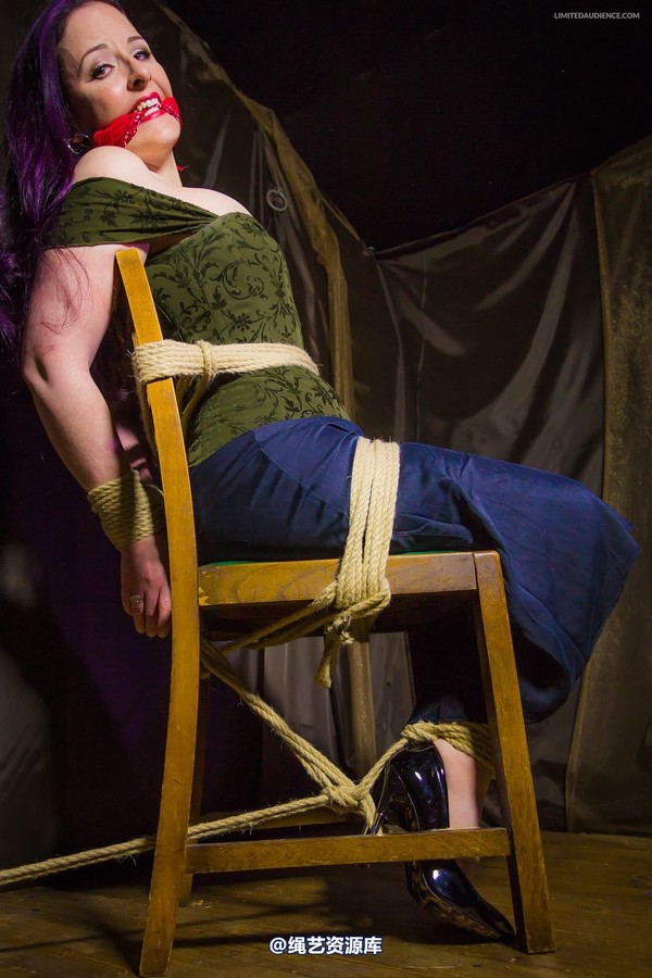 limitedaudience - 2014 caroline pierce captured damsel 第 2 张图片