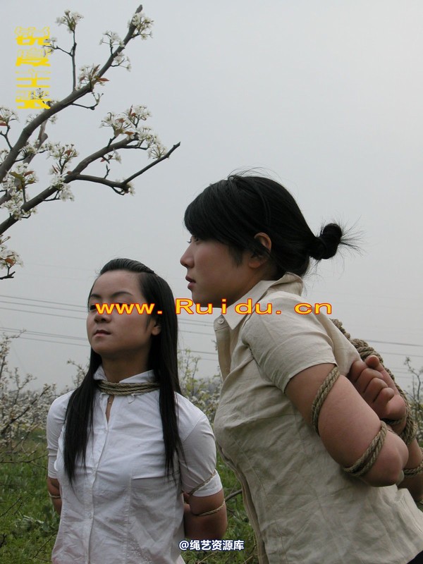 锐度主张 - 婷婷和寒冰梨花林中 第 69 张图片