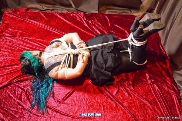 limitedaudience - 2012 raevan hogtied 2 第 24 张图片
