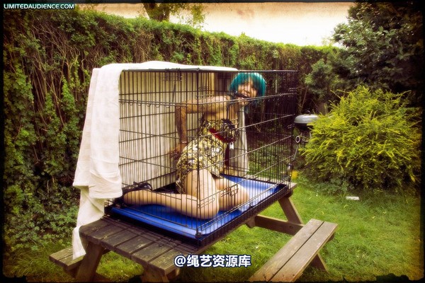 limitedaudience - 2009 b caged animal 第 30 张图片