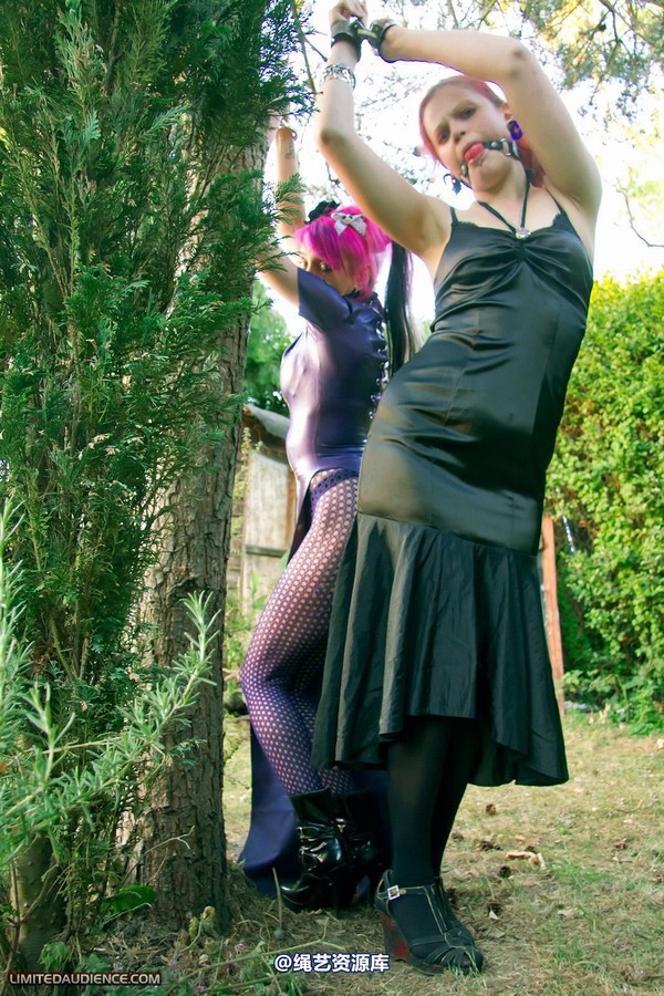 limitedaudience - 2011 beckykat loltaru chained tree seesaw 第 6 张图片