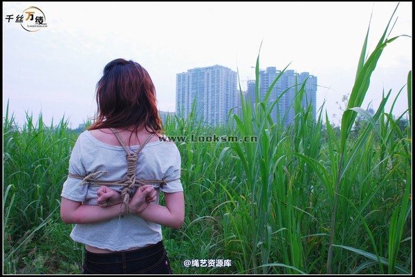 千丝万缕 - 2008-04-29-4日 第 59 张图片