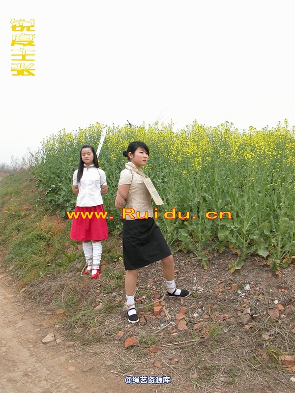 锐度主张 - 婷婷和寒冰走在乡间小路上 第 62 张图片