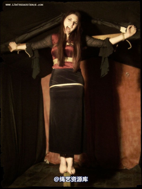 limitedaudience - 2007 ivory tied on tiptoes 第 5 张图片