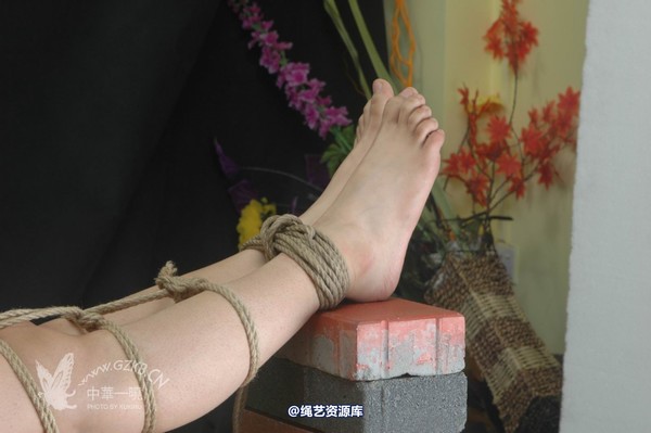 中华一晓 - 中华一晓 NO.1212 第 33 张图片