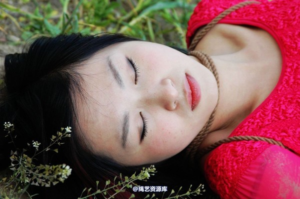 mj影视 - 梅晓枫―执行枪决2013-05-09 第 111 张图片