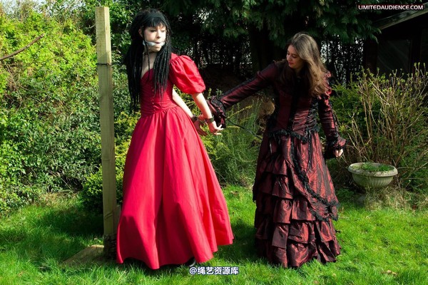 limitedaudience - 2011 catya lex eleven captive countess 2 第 22 张图片