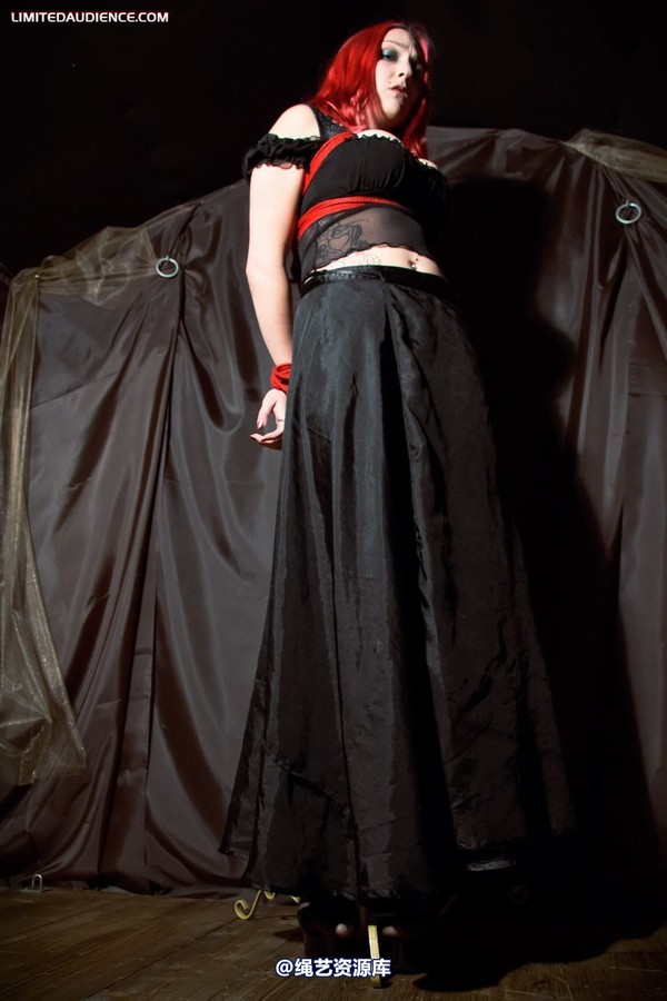 limitedaudience - 2011 elyssia bound to a pole 2 第 20 张图片