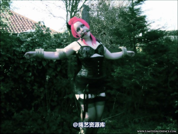 limitedaudience - 2007 assisted suicide up on the cross 第 24 张图片