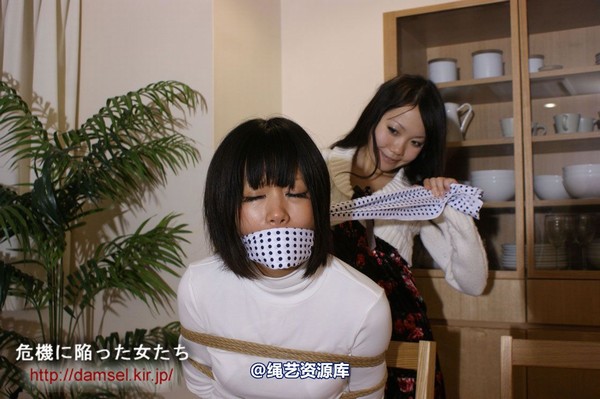 jpdamsel - 20120115 もし泥棒に�uわれたら 第 30 张图片