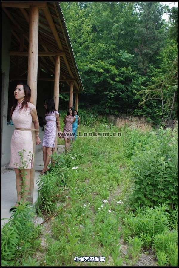 千丝万缕 - 2008-05-24日照片 第 18 张图片