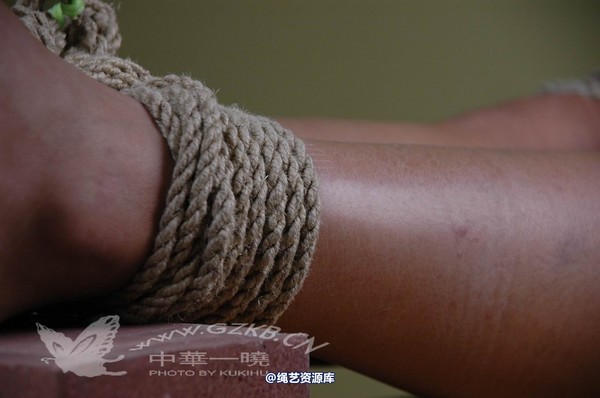 中华一晓 - 中华一晓 NO.0006 第 222 张图片