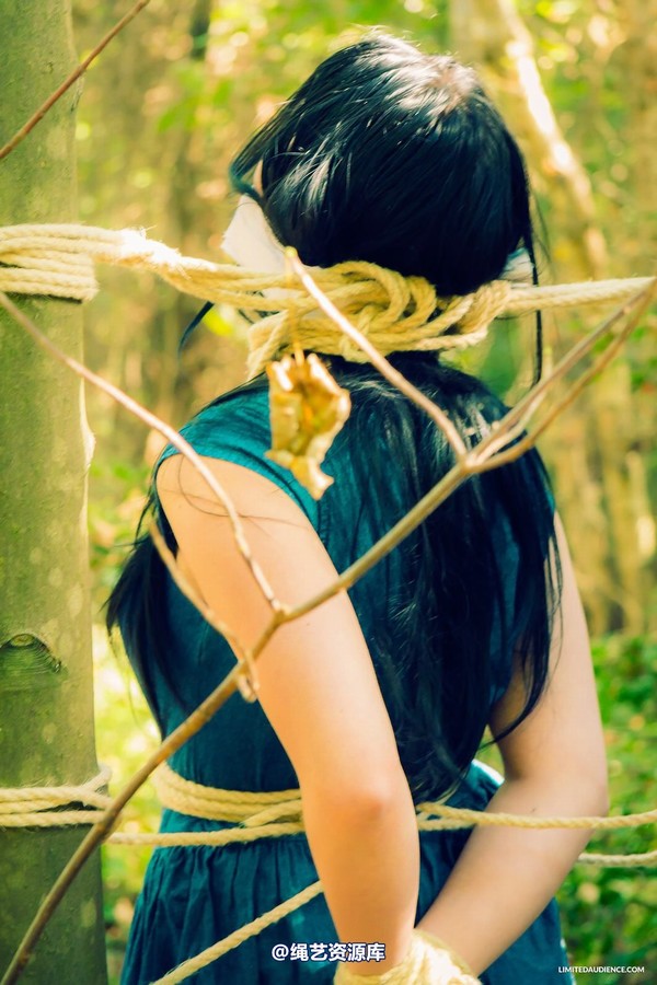 limitedaudience - 2015 stacey von in the forest 2 第 25 张图片