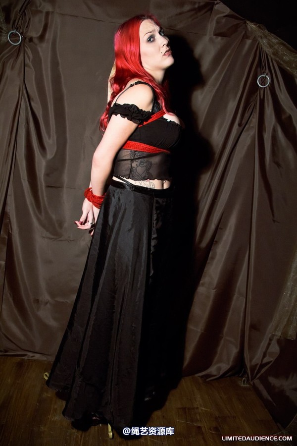 limitedaudience - 2011 elyssia bound to a pole 2 第 17 张图片