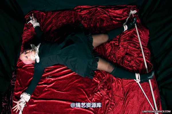 limitedaudience - 2009 assisted suicide internet date 第 53 张图片