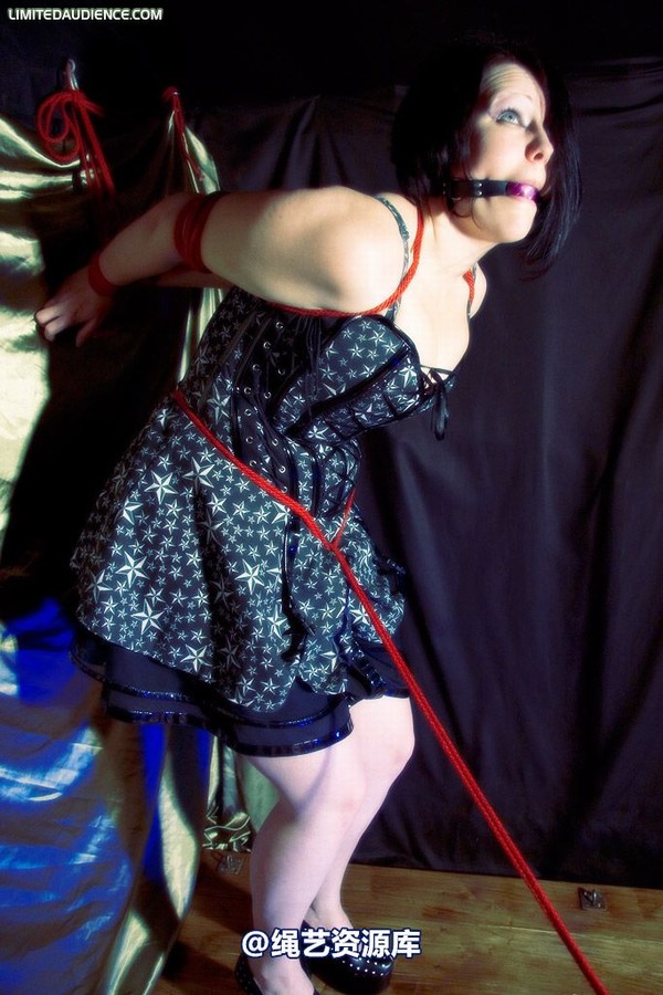limitedaudience - 2009 deception a painful wait 第 13 张图片