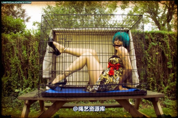 limitedaudience - 2009 b caged animal 第 49 张图片