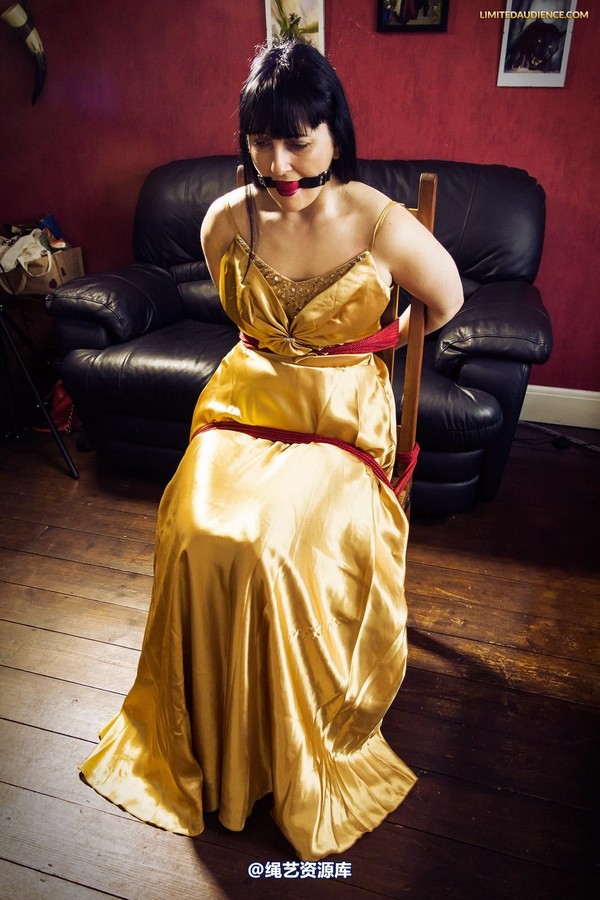 limitedaudience - 2013 dynamo golden satin 2 第 17 张图片