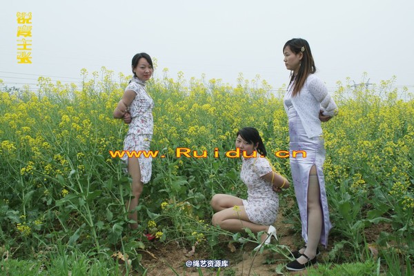 锐度主张 - 4月8日网友聚会室外篇1 第 21 张图片