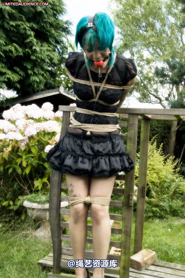 limitedaudience - 2009 b captive pixie 2 第 7 张图片