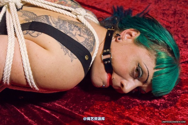 limitedaudience - 2012 raevan hogtied 2 第 2 张图片