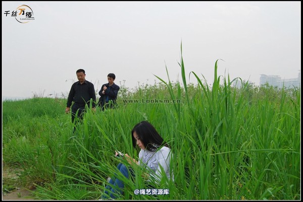 千丝万缕 - 2008-04-06日照片 第 43 张图片