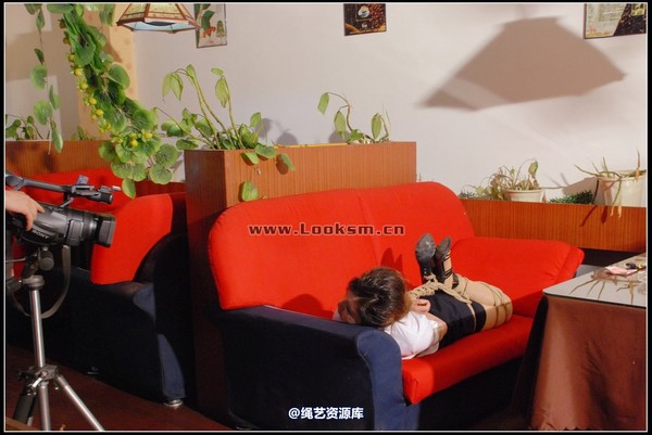 千丝万缕 - 2008-06-16日照片 第 61 张图片