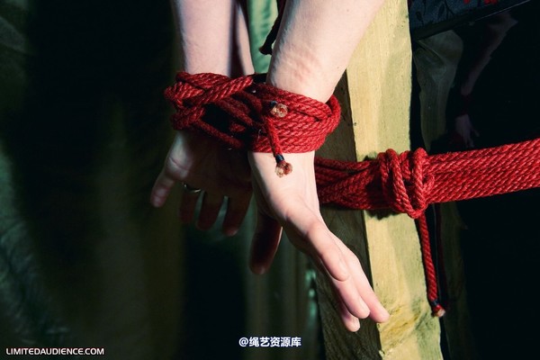 limitedaudience - 2010 raevan postbound 2 第 17 张图片